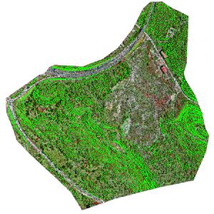 MappedOverOrthophoto
